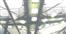 sails pendulum light